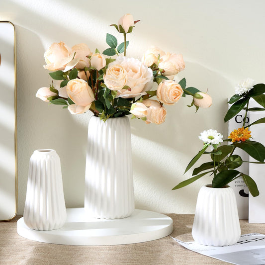 Ordeluxe Set Ceramica, Vaso Ceramica Decorativo per Fiori, Bianco Corto Alto Vasi Moderni Fiori Secchi Decorativi , spedizione gratuita su ordine superiore a 50€